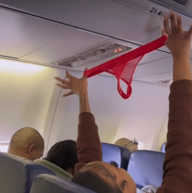 OnlyFans Model Dries Her Underwear On Southwest Airlines Flight View