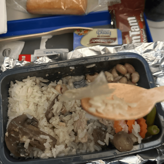 Thick Plastic Found In A United Airlines Meal, And That Actually Made