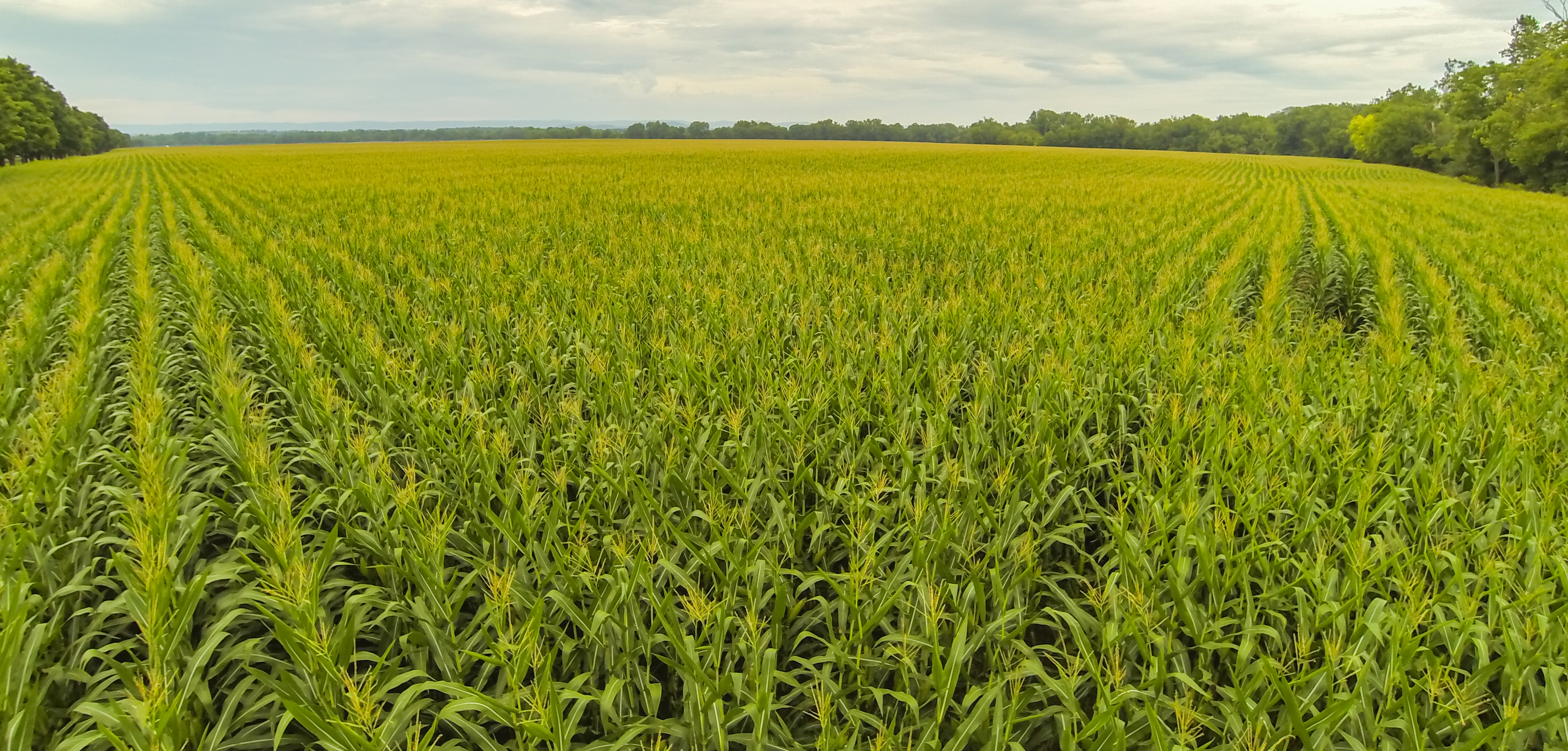 Precision Agricultural Imaging Drone UAS NDVI Infrared Thermal