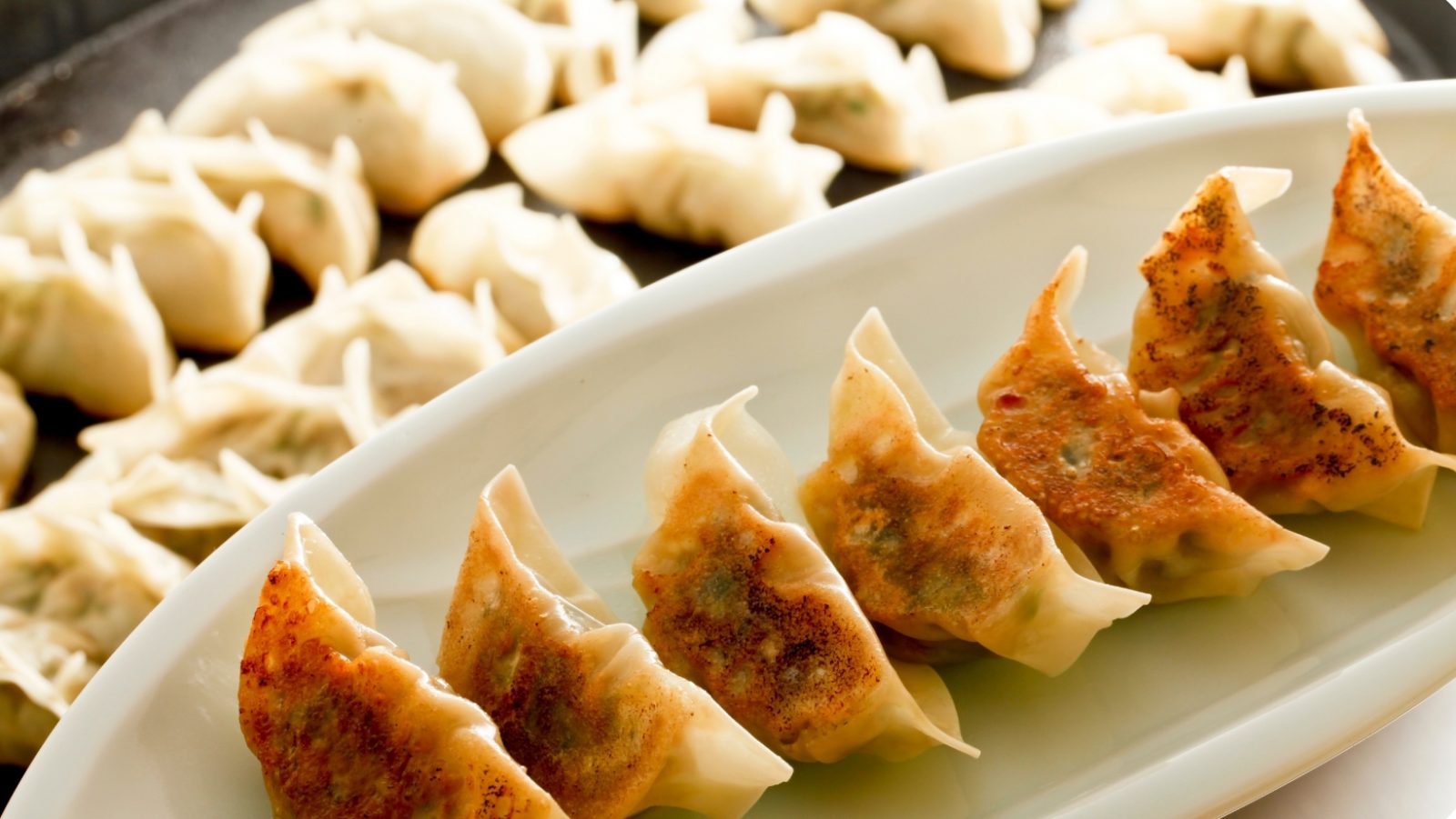 8 Best Dumplings in Toronto View the VIBE Toronto