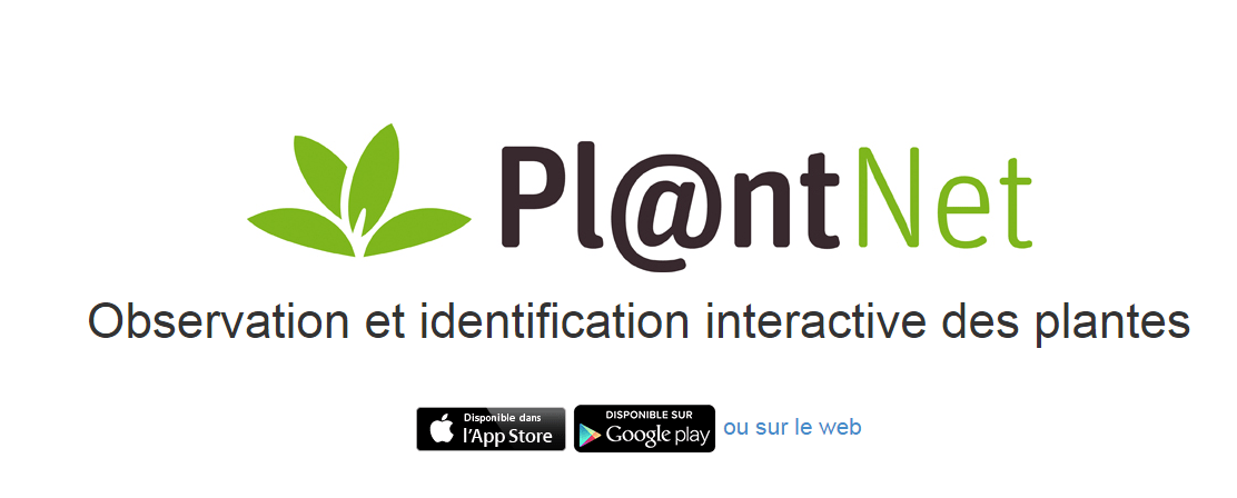 6 applications mobiles utiles pour découvrir la nature
