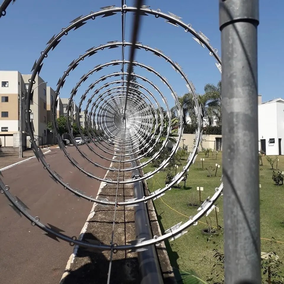 CONCERTINA ou SERPENTINA? Vígivel