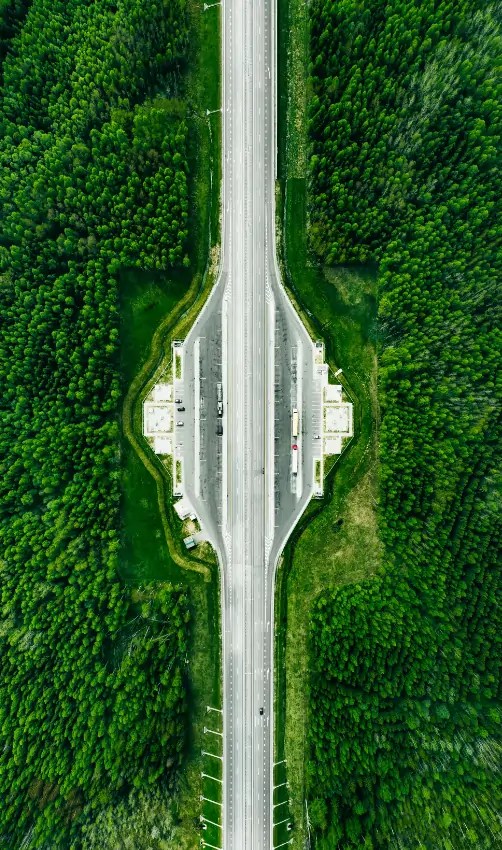 Slovenian digital Get your Slovenian online