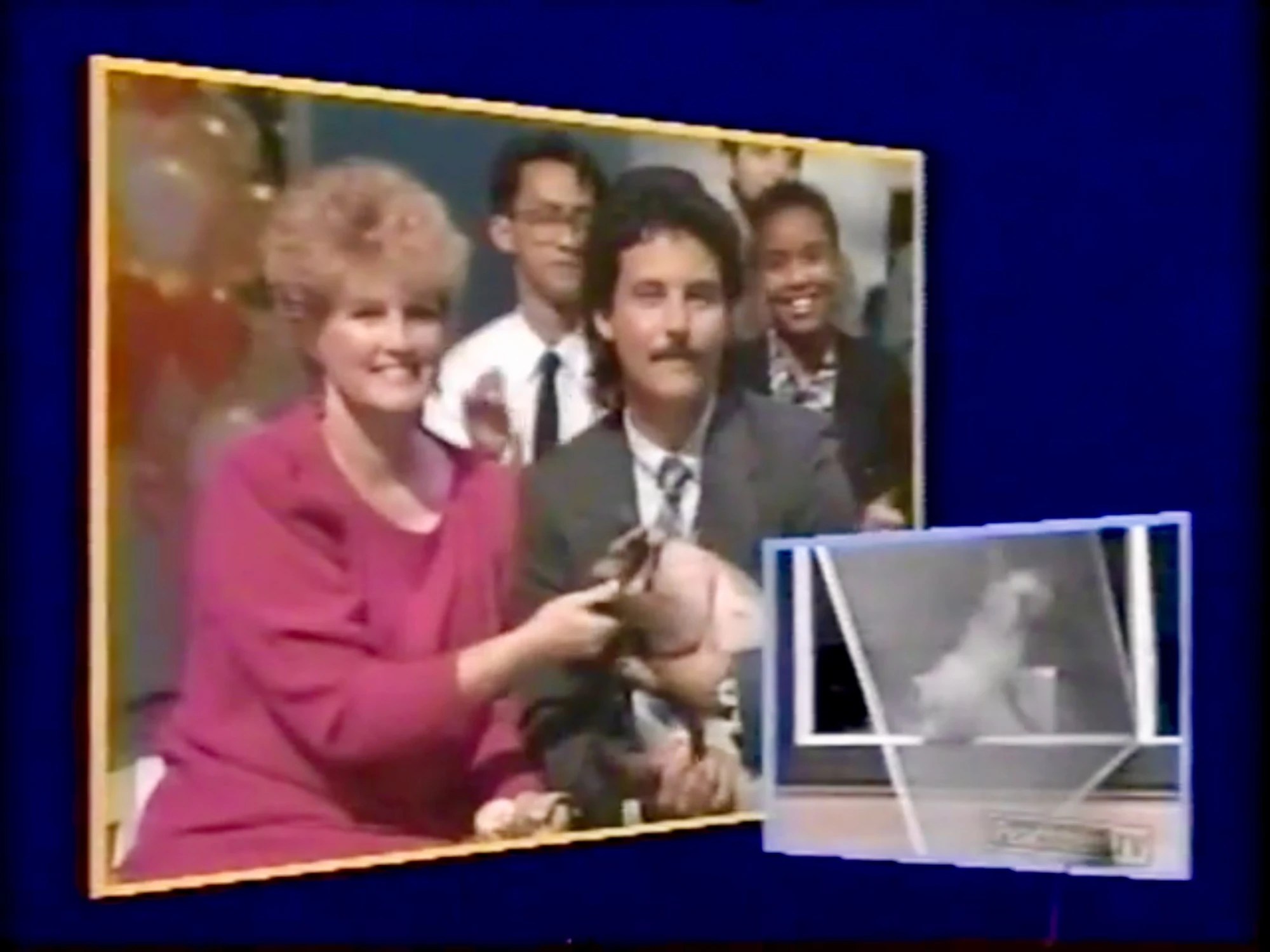Image Screen Cat Season 3 Episode 25.jpg America's Funniest Home
