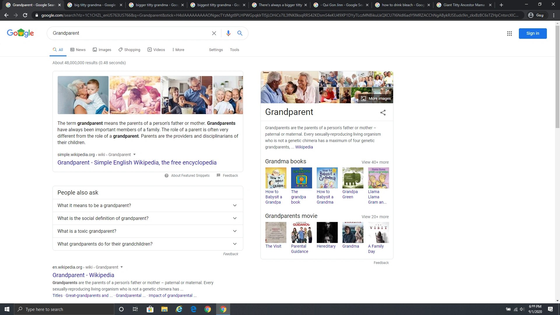 The Is for Porn All The Tropes Wiki Fandom