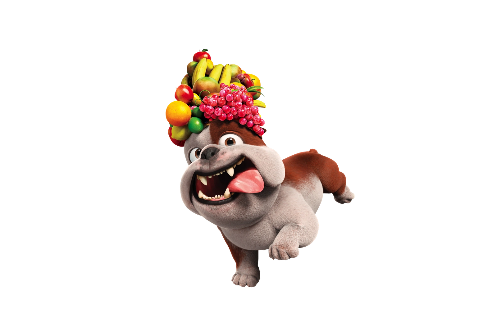 Image Luiz fruit hat.png Angry Birds Wiki FANDOM