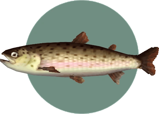 Stringfish Animal Crossing Wiki FANDOM powered by Wikia