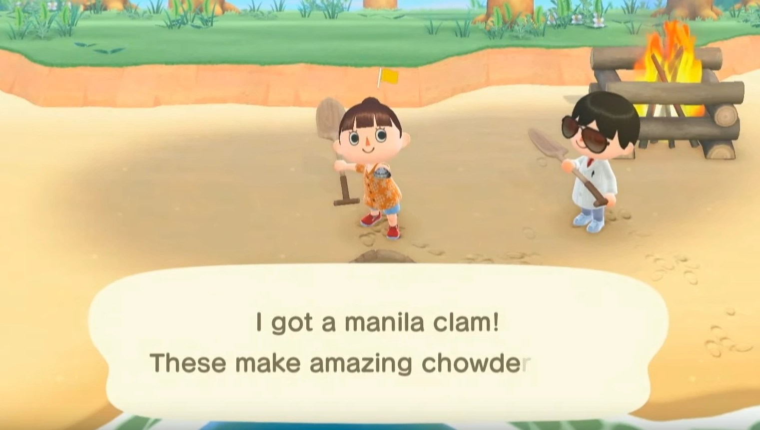 Manila clam Animal Crossing Wiki Fandom