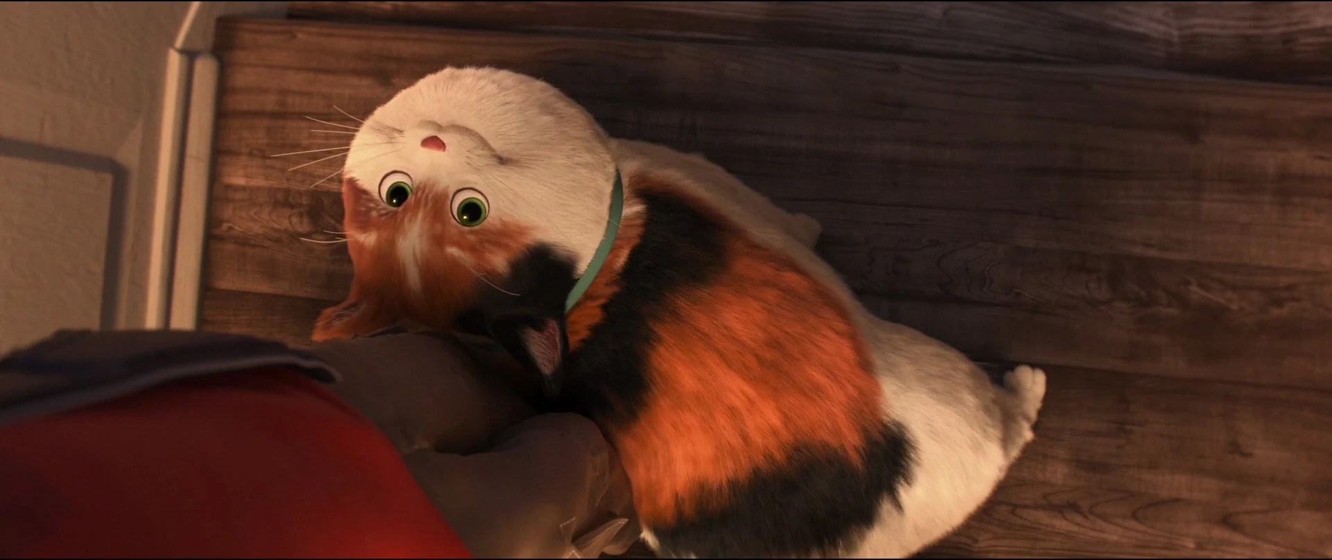 Mochi Big Hero 6 Wiki Fandom