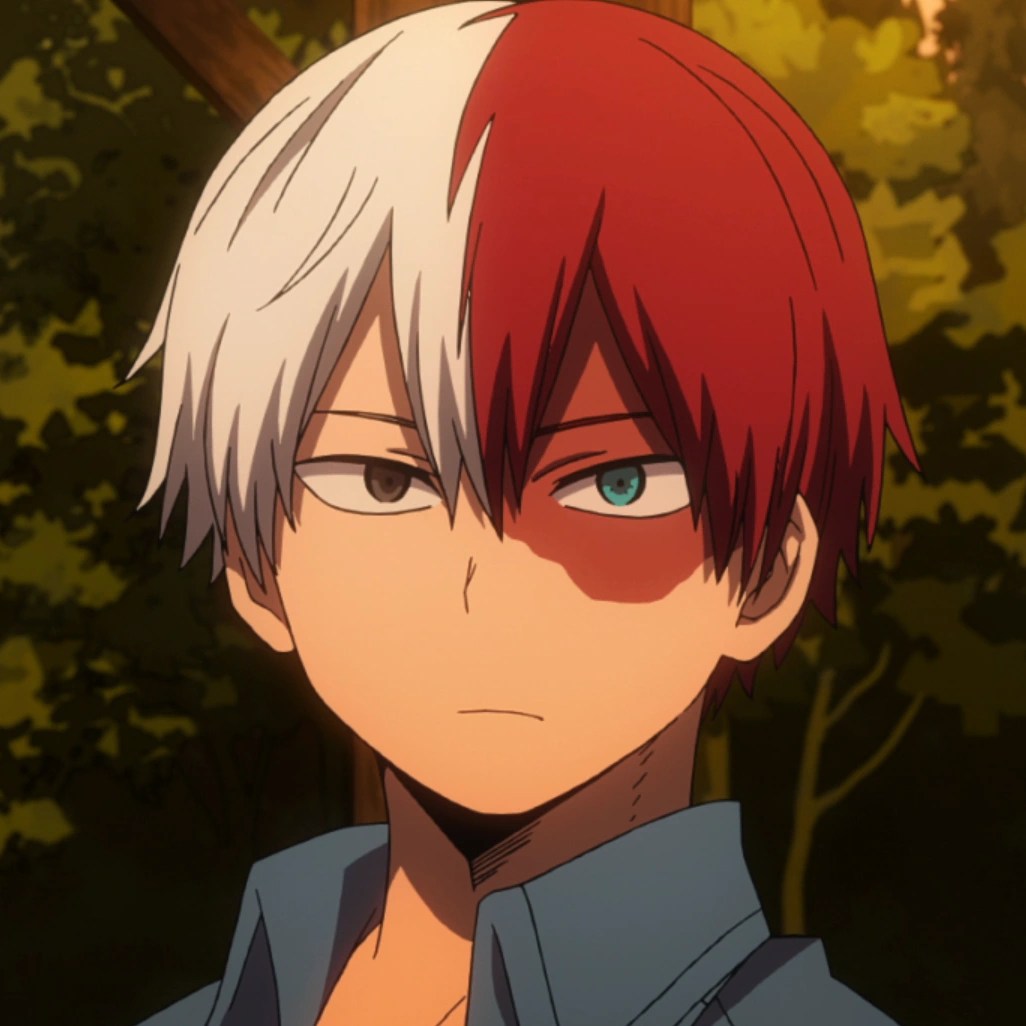 why does shoto have half red half white hair