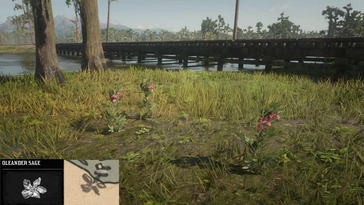 InDepth ‘RDR2’ Hunting Guide Perfect Pelts and Legendary Animals Fandom