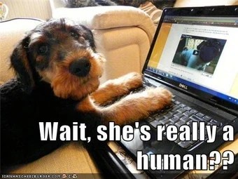 Memes Funny Memes Animal Ultimate Memes Best Memes On The