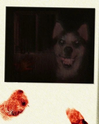 My Faggot Dog Know Your Meme