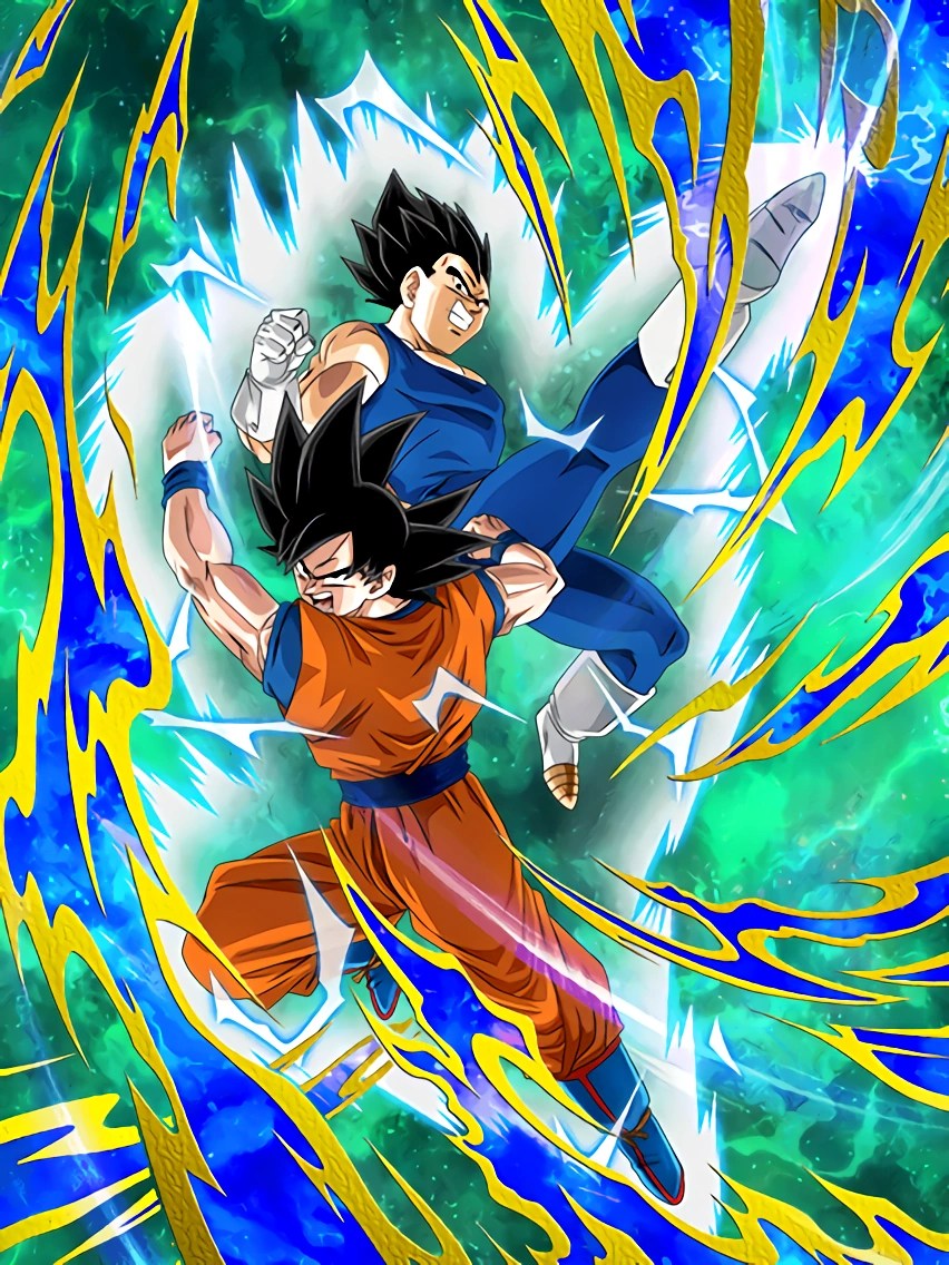 Eternal Rivalry Goku Vegeta - Bille Brousse
