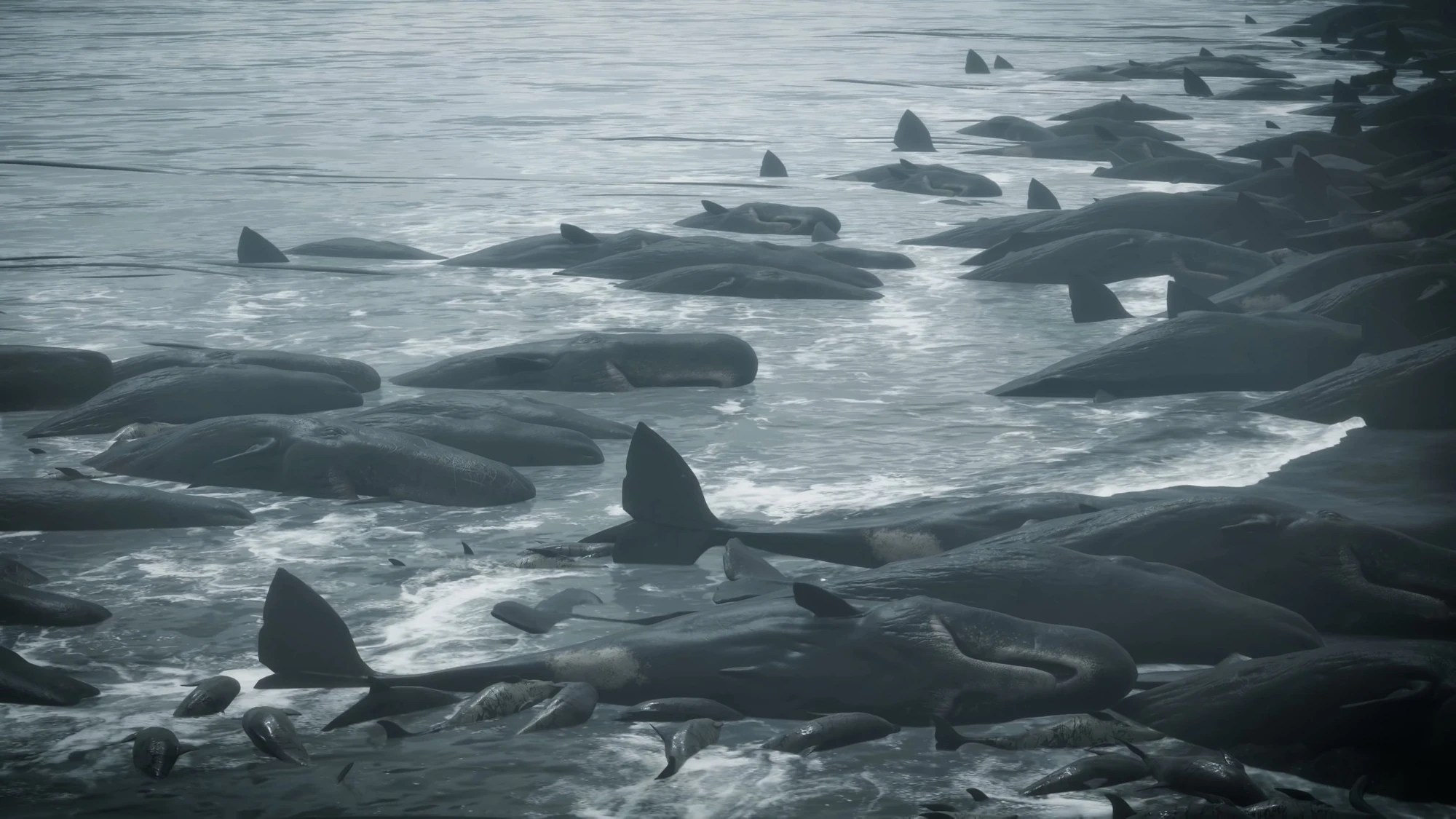 The Beach Death Stranding Wiki Fandom