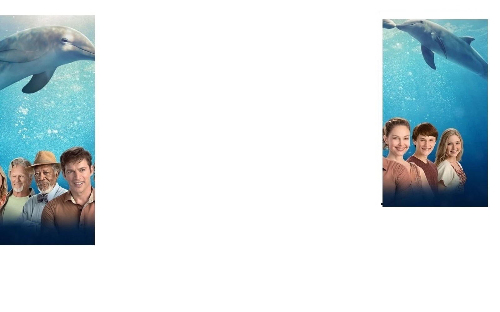 Lorraine Nelson/Gallery Dolphin Tale Wiki Fandom