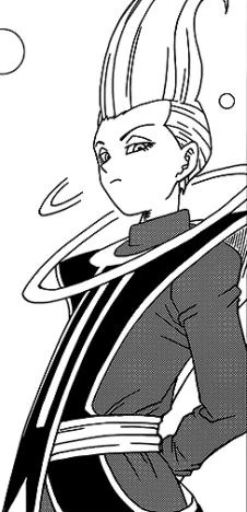 whis dragon ball wiki | The Big Savers