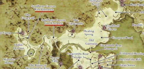 dragon dogma 2 mage skills