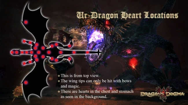 UrDragon Dragon's Dogma Wiki FANDOM powered by Wikia