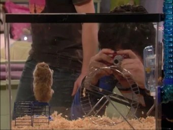 Megan Nalgueando Plantilla Buscar Con Google Drake Y Josh