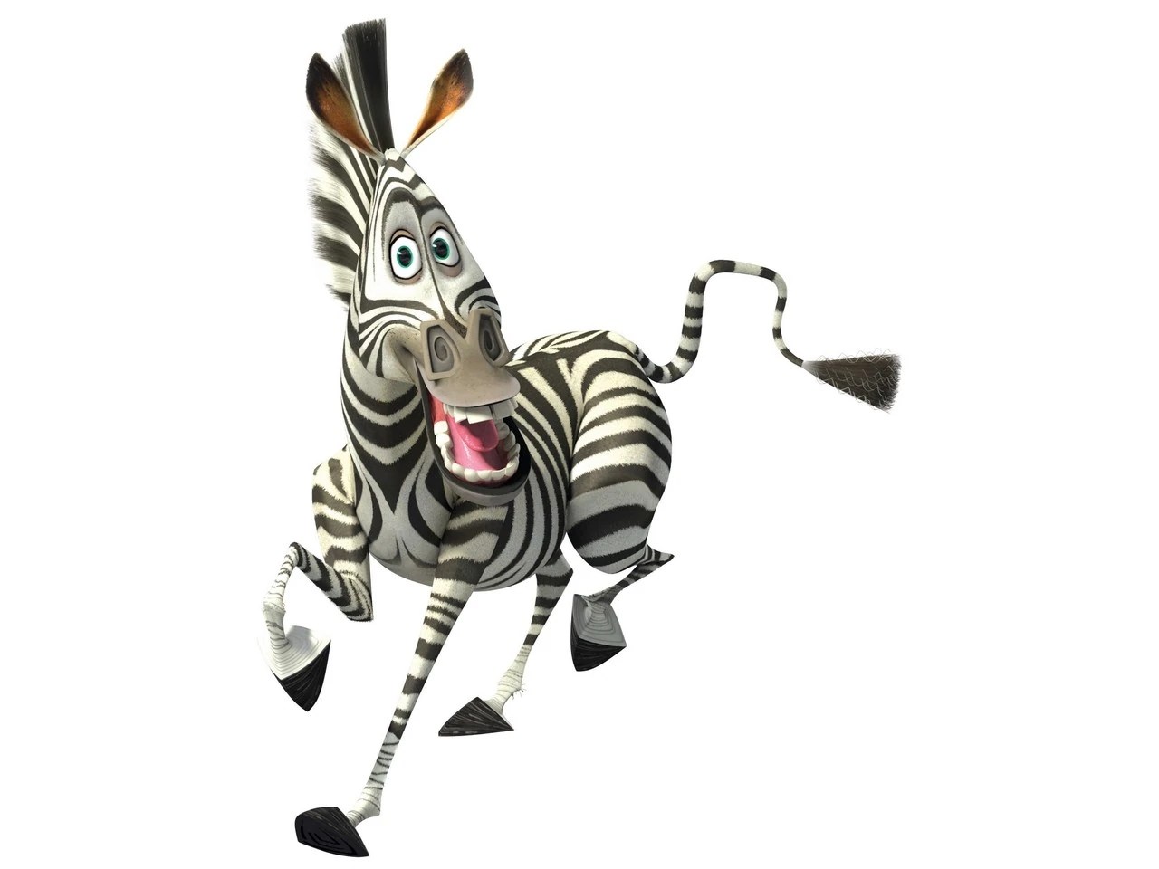 Marty (Madagascar)/Gallery Dreamworks Animation Wiki Fandom