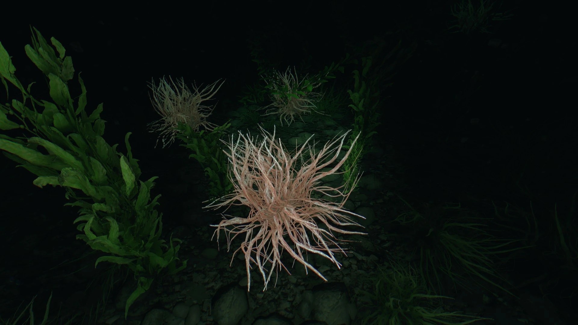 Dulse (quest) Dying Light Wiki Fandom