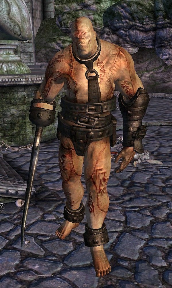 Gatekeeper (Shivering Isles) Elder Scrolls FANDOM powered by Wikia