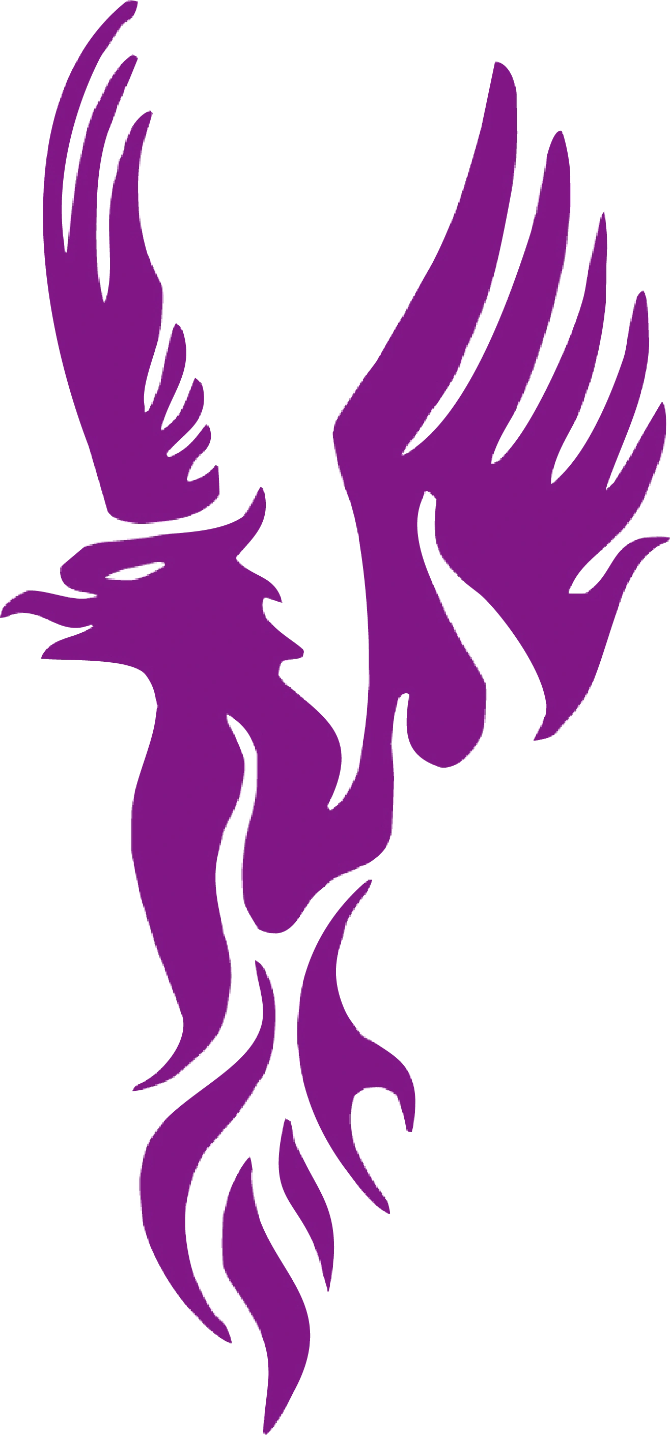 Purple Phoenix Fairy Tail Fanon Wiki FANDOM powered by Wikia