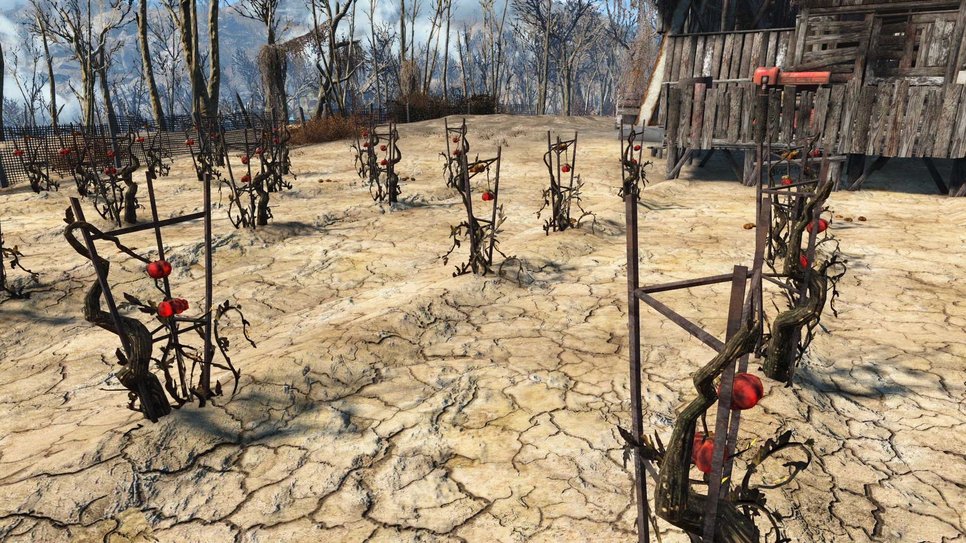 Tato (Fallout 4) | Fallout Wiki | FANDOM powered by Wikia