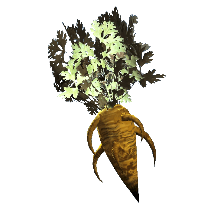 fallout 4 wild carrot flower - Bille Brousse