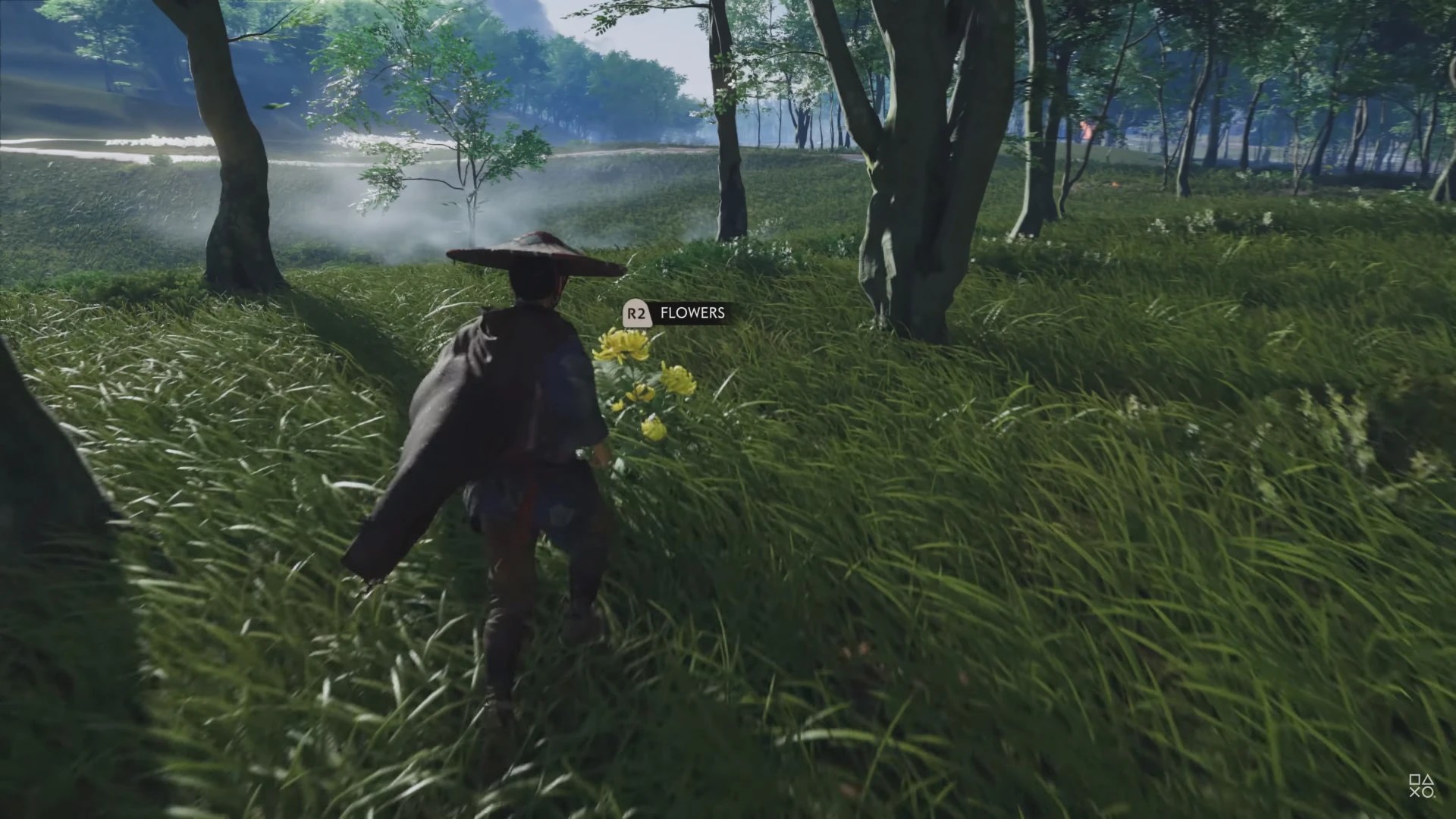 Ghost Of Tsushima Ghost Flowers FLOWERS KAQ