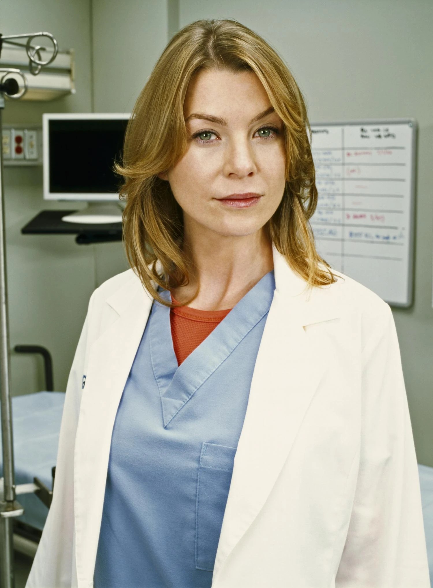 who is dr gray from grey's anatomy | Family Man Librarian