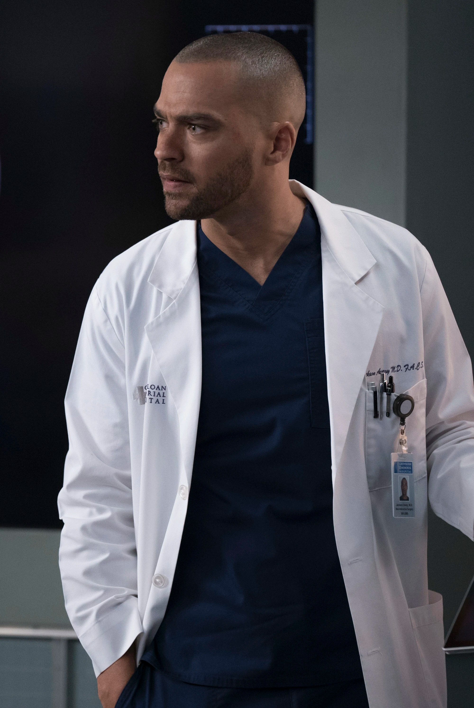 dr avery on grey's anatomy | Family Man Librarian