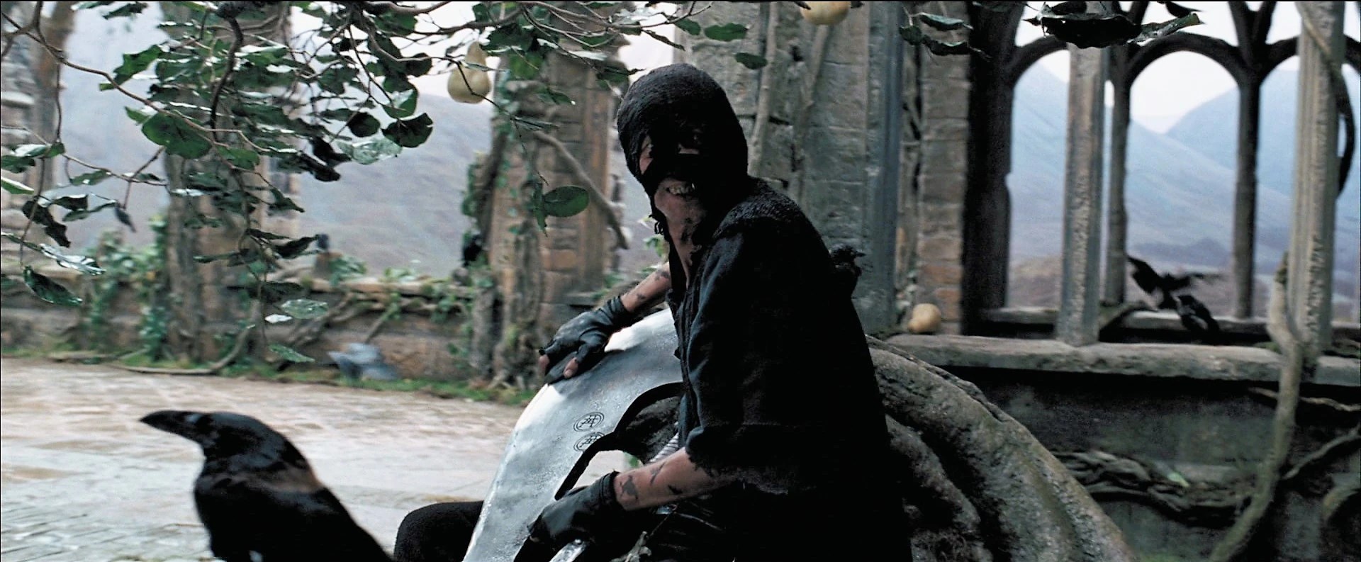 CategoryExecutioners Harry Potter Wiki FANDOM powered by Wikia