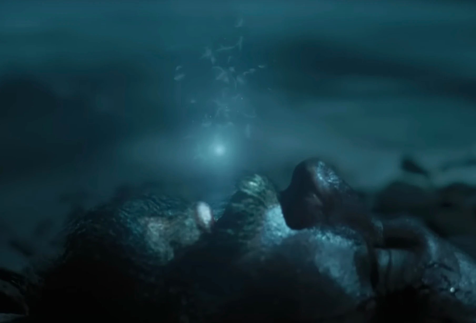 Dementor Timothee Chamalet And Lily Rose Depp Kissing Know