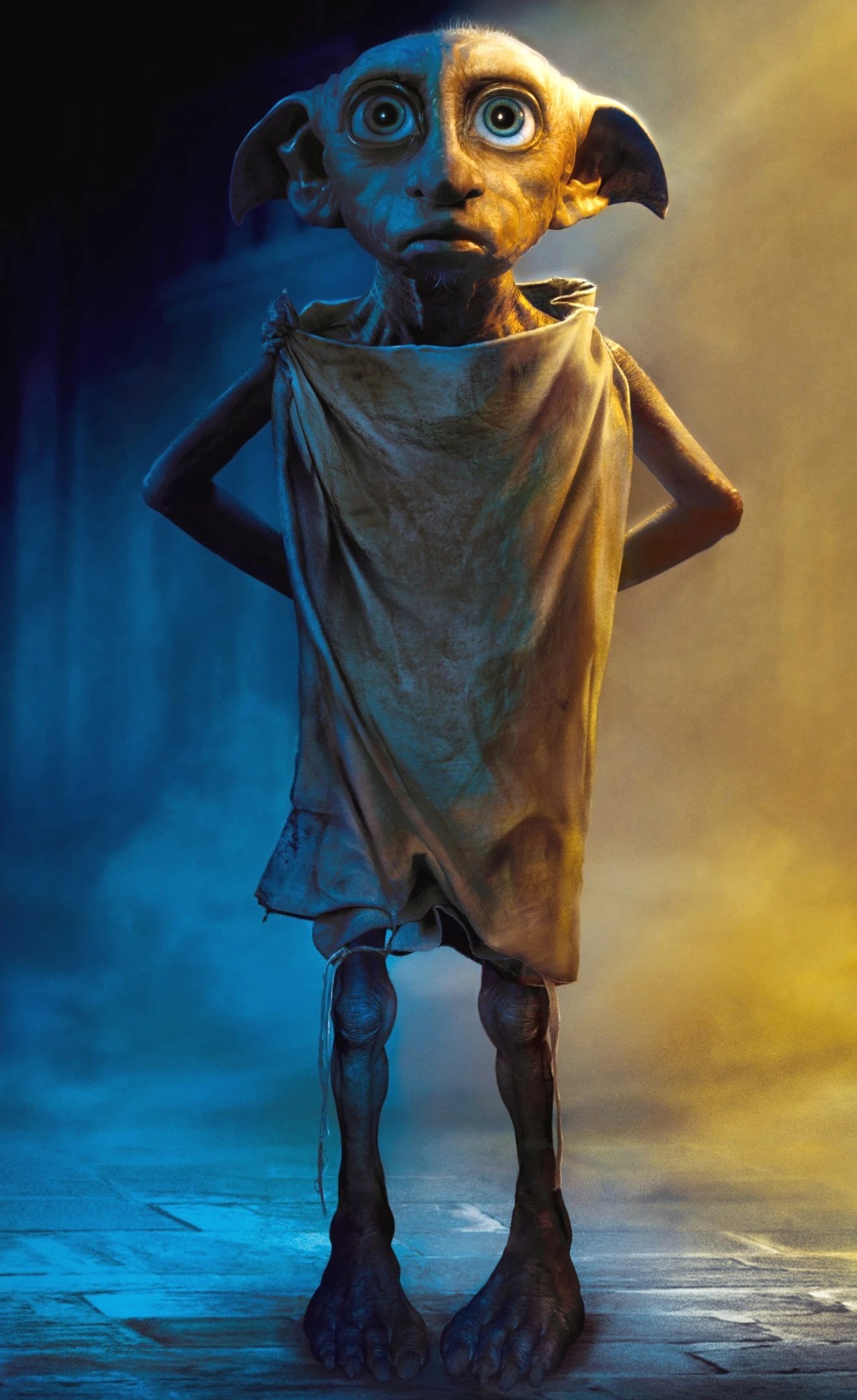 Image - Dobby-poster.jpg | Harry Potter Fanon Wiki | FANDOM powered by