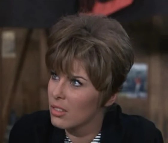 Ginger Flintrin Hogan's Heroes FANDOM powered by Wikia