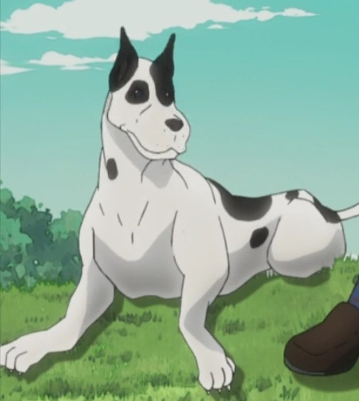 Who Is The Most Overrated Character In Jojo S Bizarre Adventure