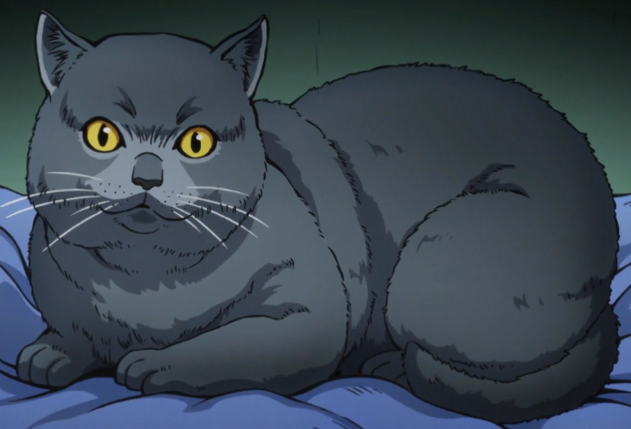 Image Tama AV.png JoJo's Bizarre Encyclopedia FANDOM powered by Wikia