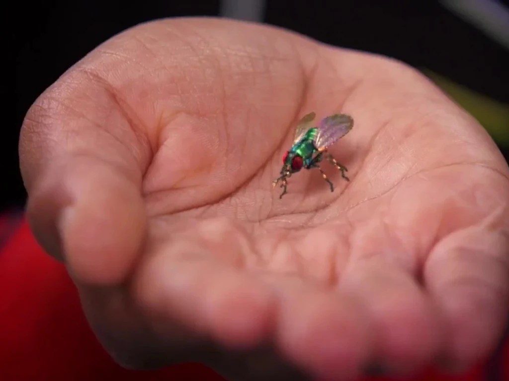 Image Spy fly.jpeg Disney XD's Lab Rats Wiki FANDOM powered by Wikia