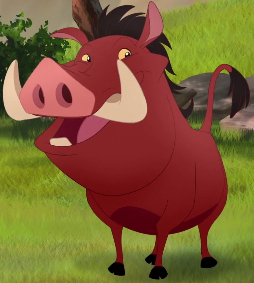 Pumbaa The Lion Guard Wiki FANDOM powered by Wikia