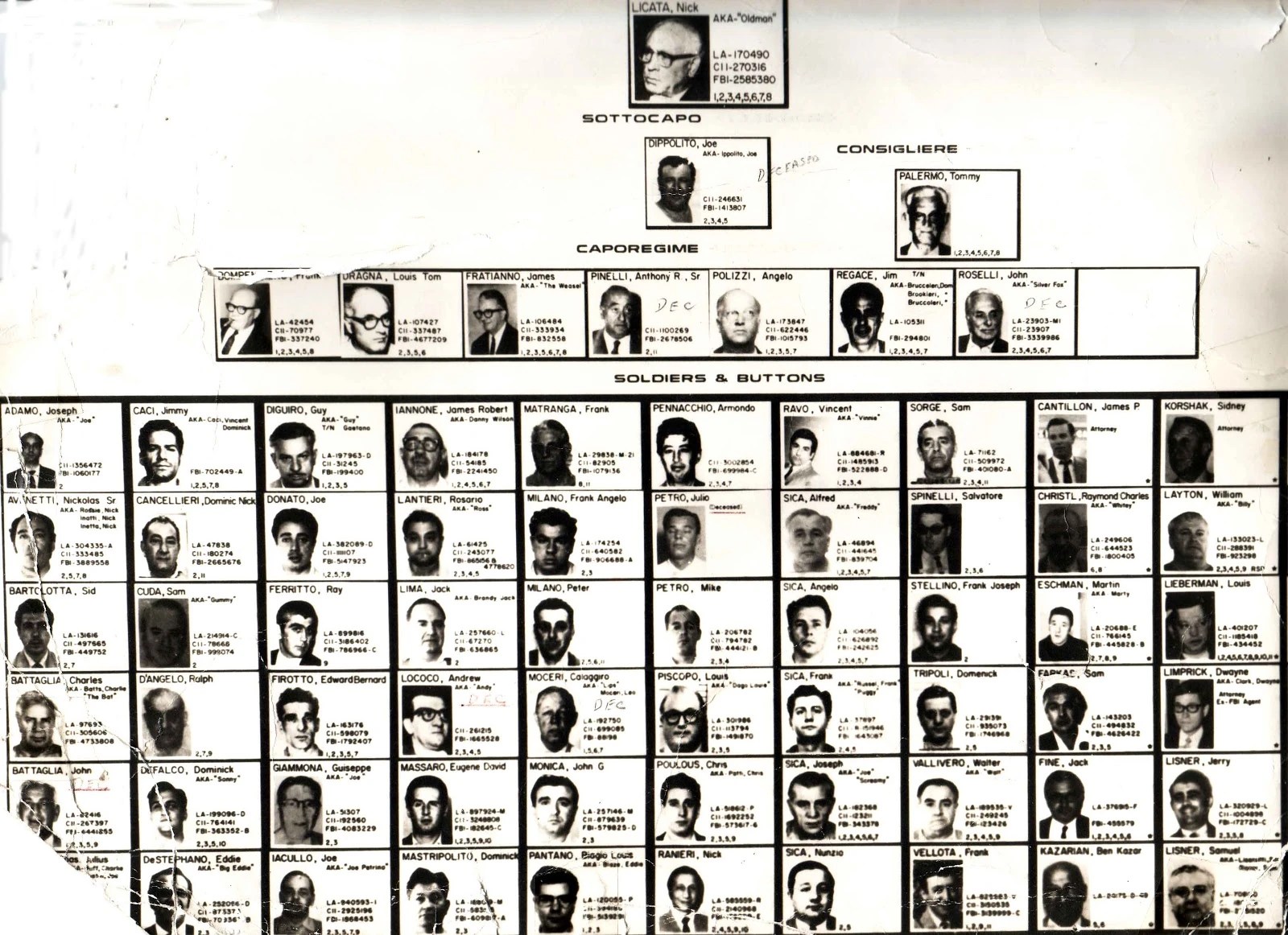 Los Angeles crime family Mafia Wiki FANDOM powered by