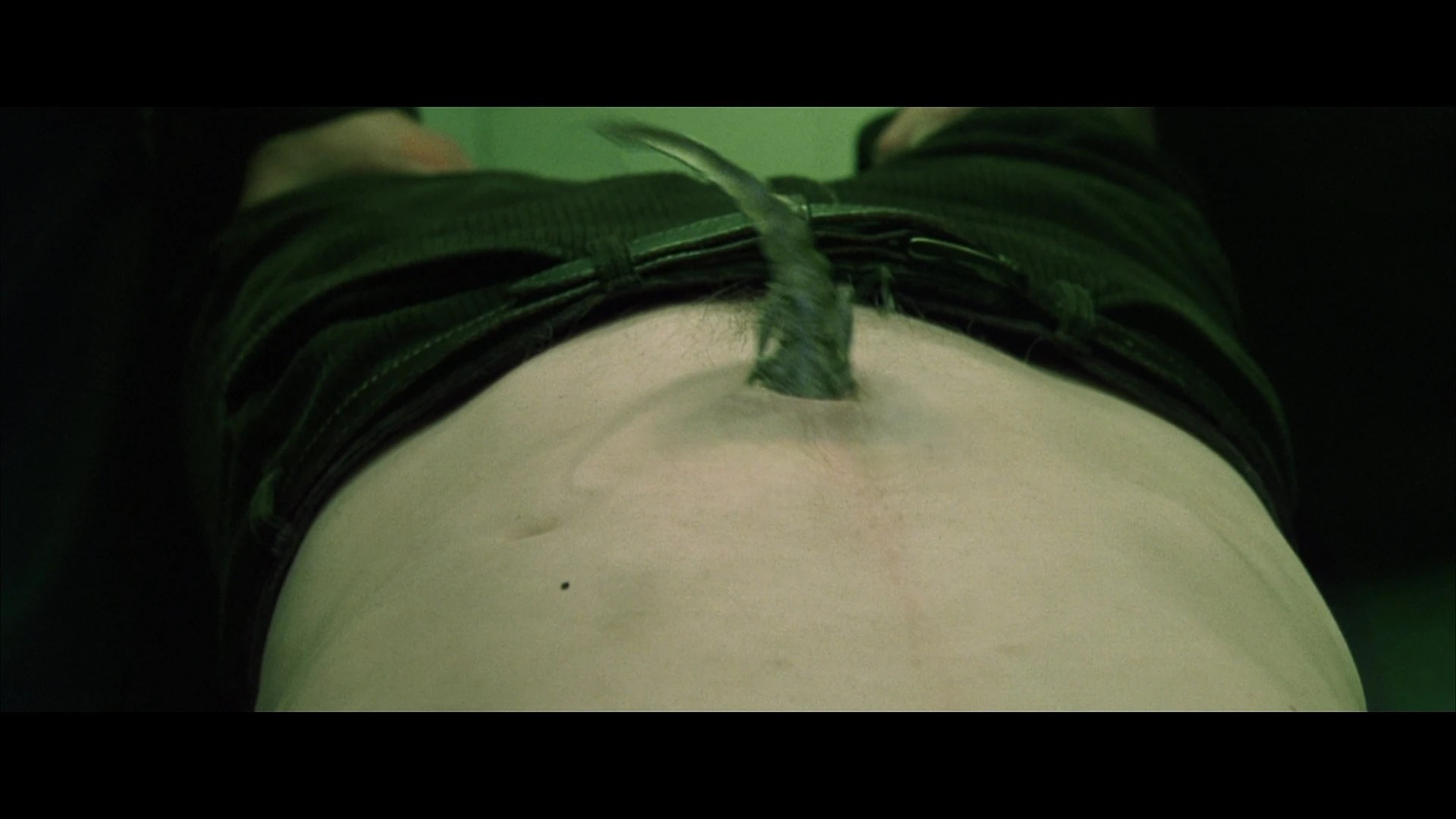 Bug Matrix Wiki Fandom