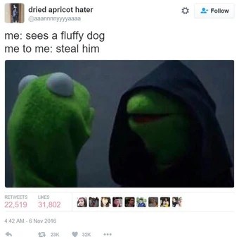 U Realmrlazy978 Kermit The Frog Know Your Meme