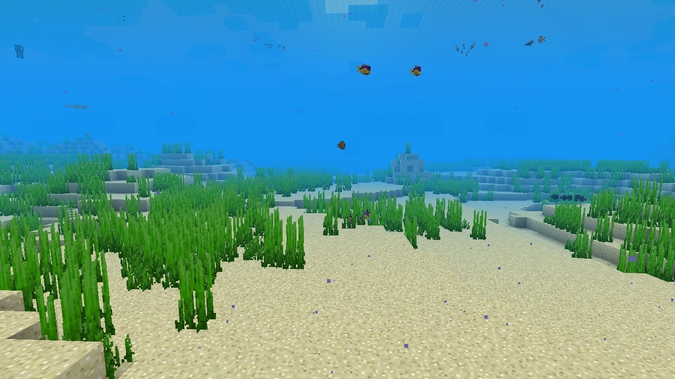 Deep Warm Ocean Minecraft Biomes Wiki FANDOM powered by Wikia