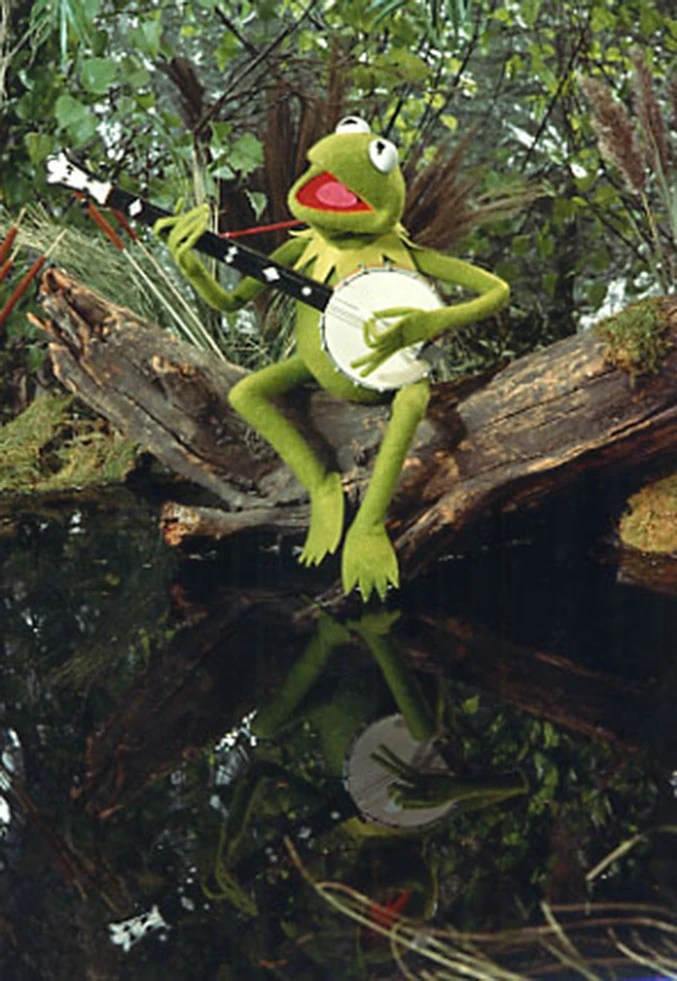 Kermit's Swamp Muppet Wiki FANDOM powered by Wikia