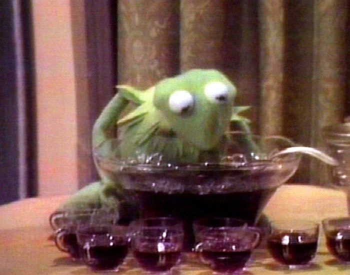 Kermit Salsa Youtube