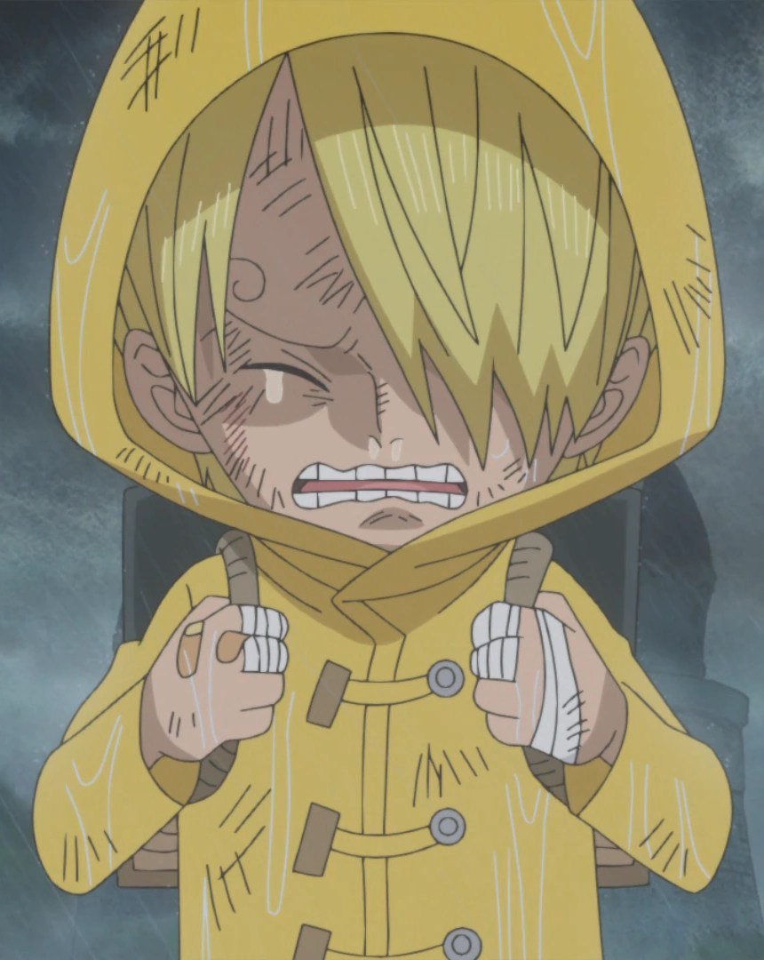sanji one piece wiki