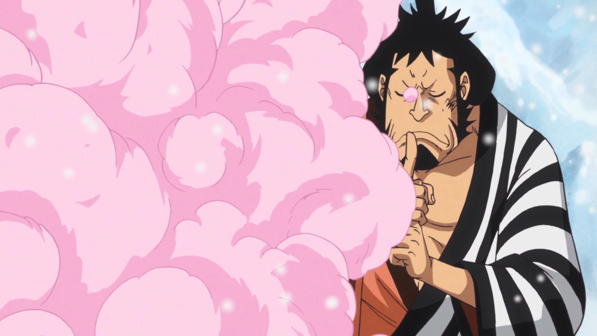 Fuku Fuku no Mi One Piece Wiki Fandom
