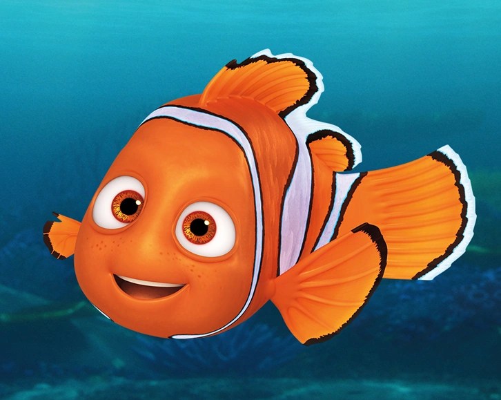 Nemo Pixar Wiki FANDOM powered by Wikia